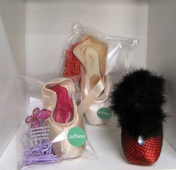 Pointe Shoe for Decorating - Assorted