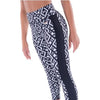 CosiG Ladies Dynamite Active Tights