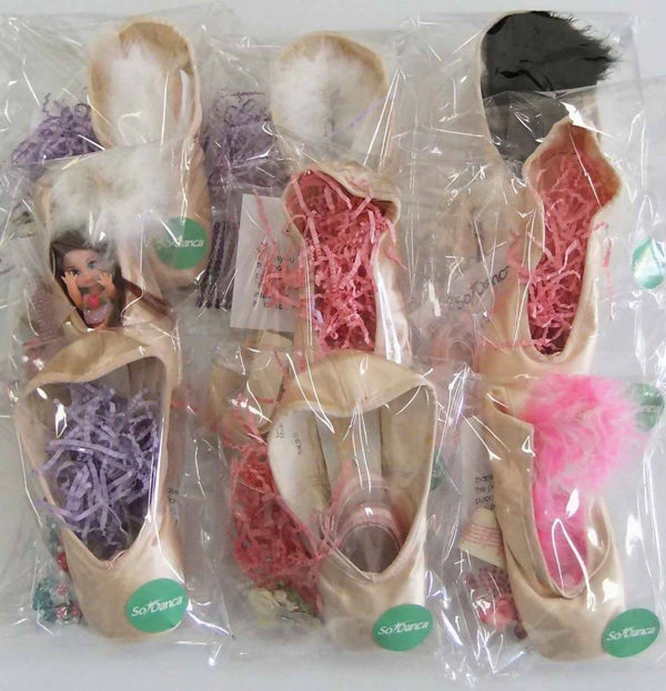 Pointe Shoe for Decorating - Assorted